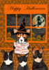 Halloween Corgi Dog Tale of Corgi Witch Print