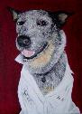 Dog Portrait Australian Blue Heeler Oil Painting