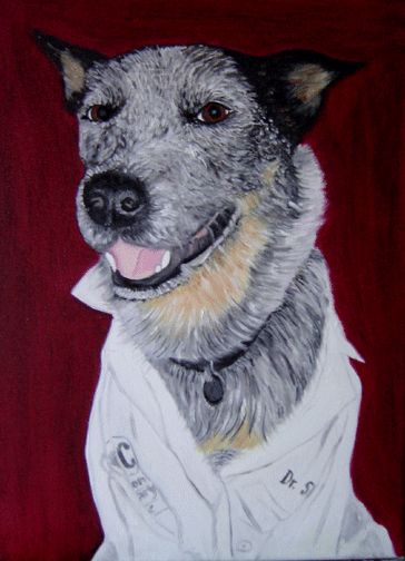 Dog Portrait Australian Blue Heeler Oil Painting