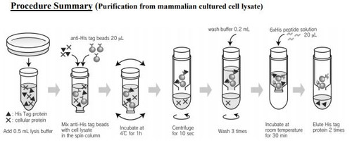 His tagged Protein PURIFICATION KIT His tagged Protein PURIFICATION KIT