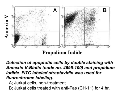 Annexin V-Biotin (Reagent) Annexin V-Biotin (Reagent)