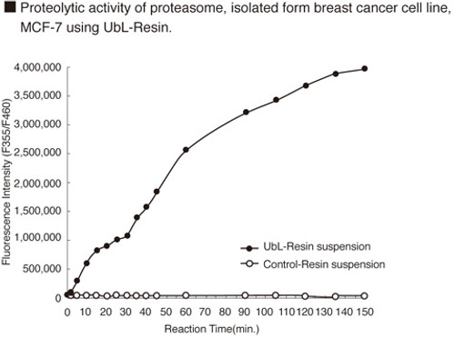 CycLex® Proteasome Enrichment Activity Assay Kit CycLex® Proteasome Enrichment Activity Assay Kit