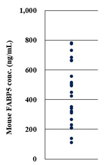 CircuLex Mouse FABP5/E-FABP/mal1 ELISA Kit CircuLex Mouse FABP5/E-FABP/mal1 ELISA Kit
