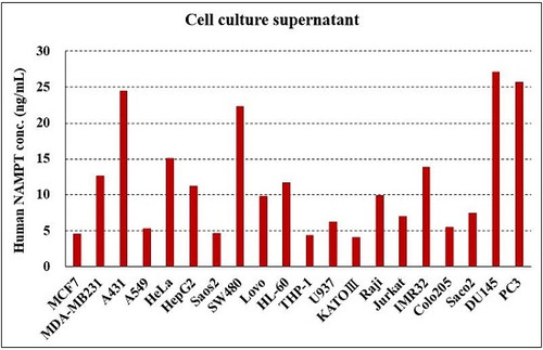 CircuLex Human NAMPT/PBEF ELISA Kit CircuLex Human NAMPT/PBEF ELISA Kit