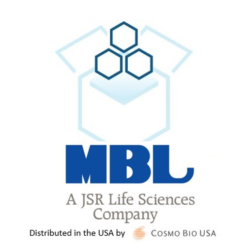 Anti-IL-18 (Human) mAb-Biotin (Clone: 159-12B) Anti-IL-18 (Human) mAb-Biotin (Clone: 159-12B)