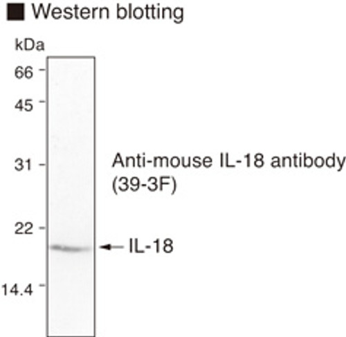 Anti-IL-18 (Clone 39-3F) (Mouse) mAb (Clone: 39-3F)