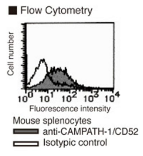 Anti-CD52 (CAMPATH-1) (Mouse) mAb (Clone: BTG-2G) Anti-CD52 (CAMPATH-1) (Mouse) mAb (Clone: BTG-2G)
