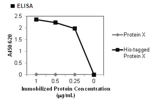 Anti-His-tag mAb-Biotin (Clone: OGHis) Anti-His-tag mAb-Biotin (Clone: OGHis)