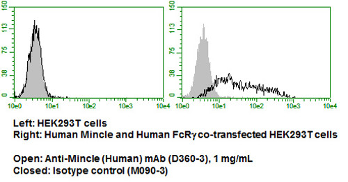 Anti-Mincle (Human) mAb (Functional Grade) (Clone: 1H2)