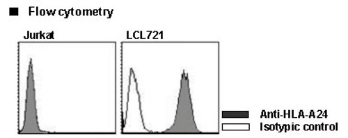 Anti-HLA-A24 (Human) mAb-Alexa Fluor® 488 (Clone: 17A10) Anti-HLA-A24 (Human) mAb-Alexa Fluor® 488 (Clone: 17A10)