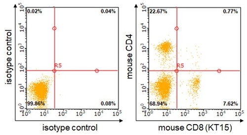 Anti-CD8 (Mouse) mAb-FITC (Clone: KT15) Anti-CD8 (Mouse) mAb-FITC (Clone: KT15)
