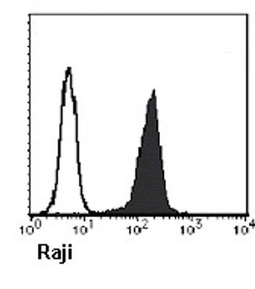 Anti-PCNA (ProlifeRating Cell Nuclear Antigen) (Rat) mAb (Clone: 5A10) Anti-PCNA (ProlifeRating Cell Nuclear Antigen) (Rat) mAb (Clone: 5A10)