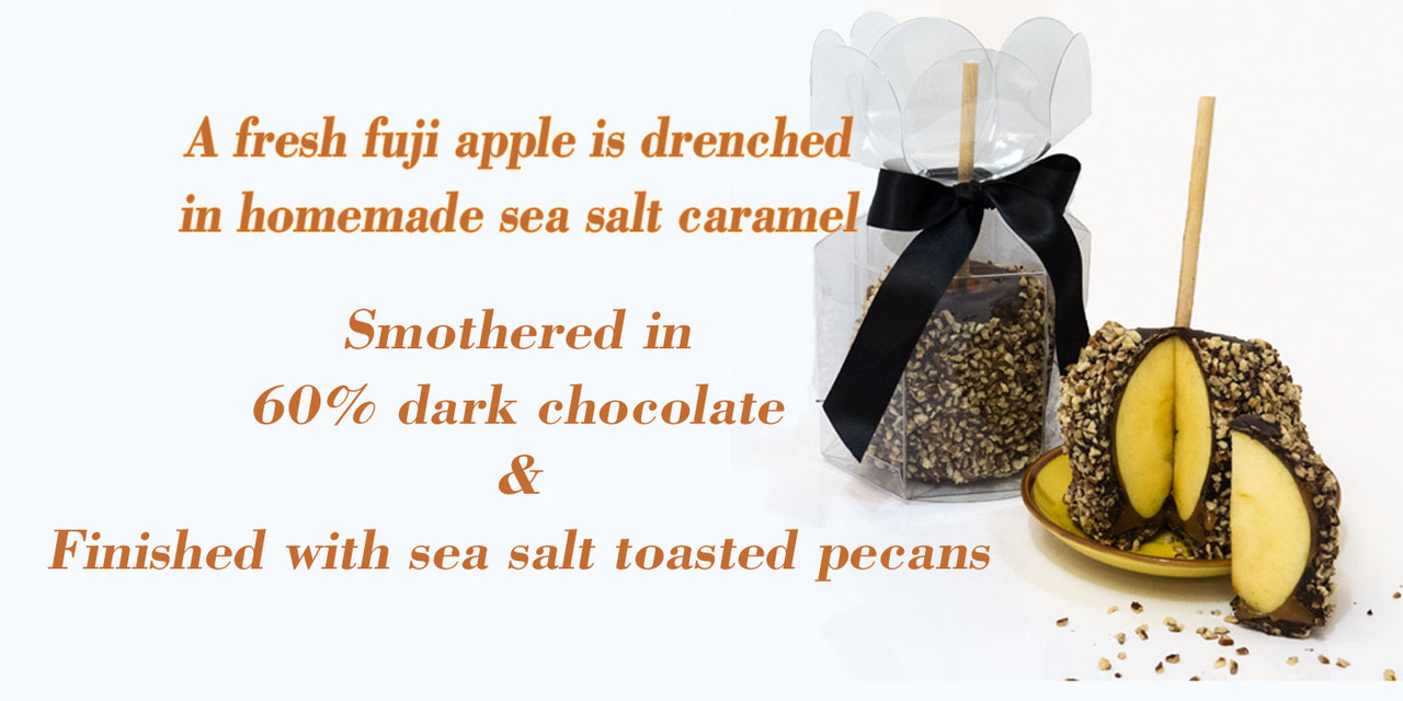 Chocolates & Confections Factory Sarasota Florida Gabriella Chocolates