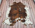  Such a gorgeous oversized cowhide rug, real and authentic, no wrinkles because it's 100% natural, add to your office or even kitchen easy to maintain