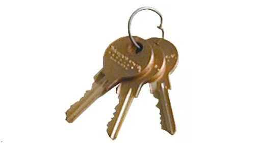 Replacement Lock & Flat Keys for Refrigerator Lock Box 