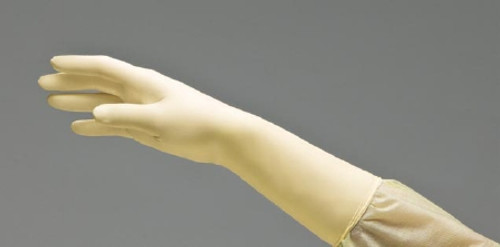 Surgical Glove DermAssist? Size 8 Sterile Latex Standard Cuff Length Smooth Ivory Not Chemo Approved (BX)