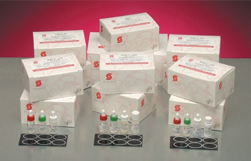 Autoimmune Test Kit RaPET? RF Rheumatoid Factor (RF) 50 Tests CLIA Non-Waived (KT)