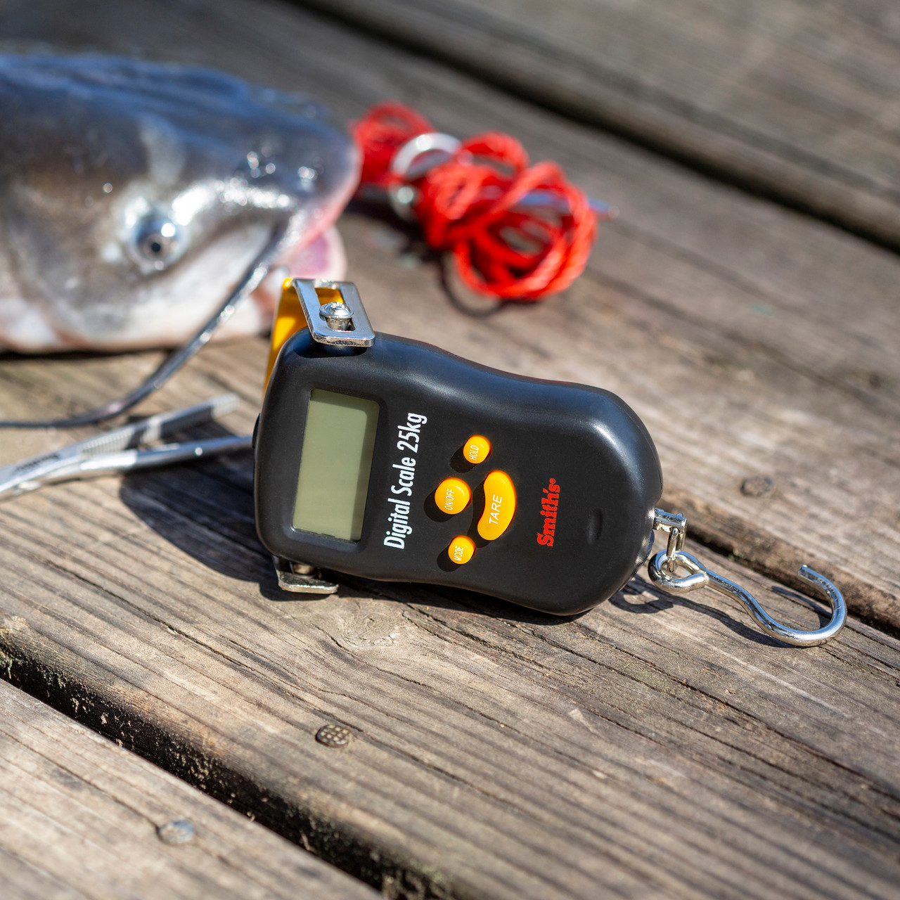 50 lb Digital Fishing Scale Fish Weighing Scales - Main Image