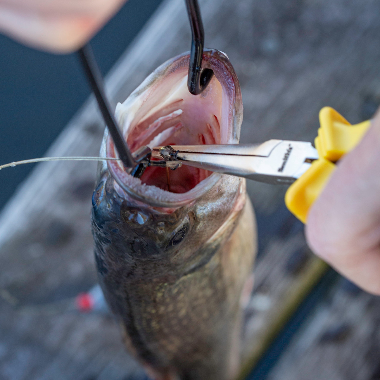anchor fishing hooks Amazon.com: GRFIT Fishing Hooks 3/5 Set of New Anchor Fish Hook String Hook  Line Set with Barbed Three-Claw Anchor Hook Set Eight-Claw Hook Extra Large  Anti-Hanging Fish Hooks (Color : 3 Sets,