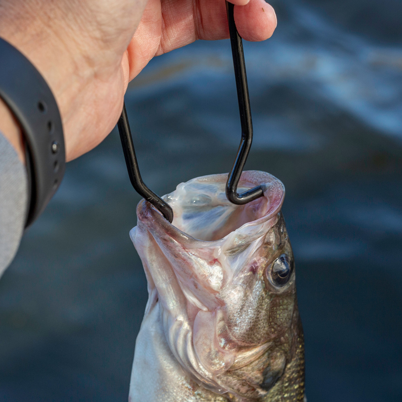 Lure Rapala Fish Gripper Fish Jaw Gripper Floating Fish Gripper