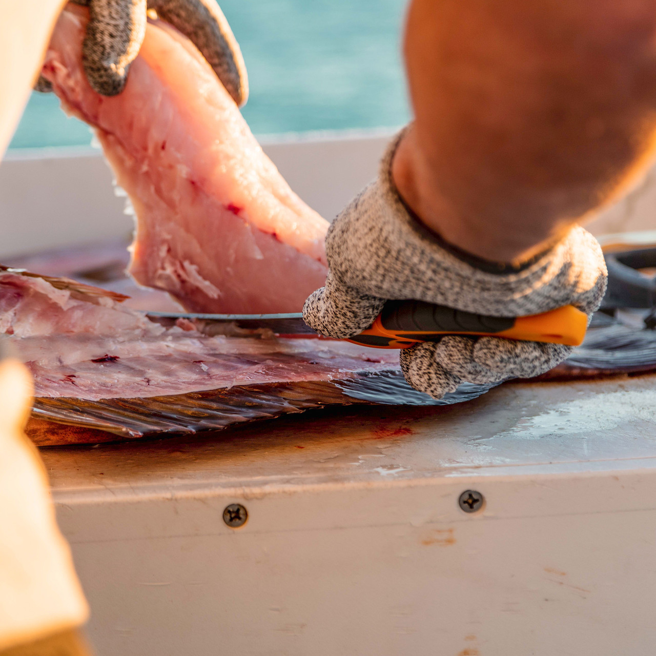 Non-Cut Fillet Gloves