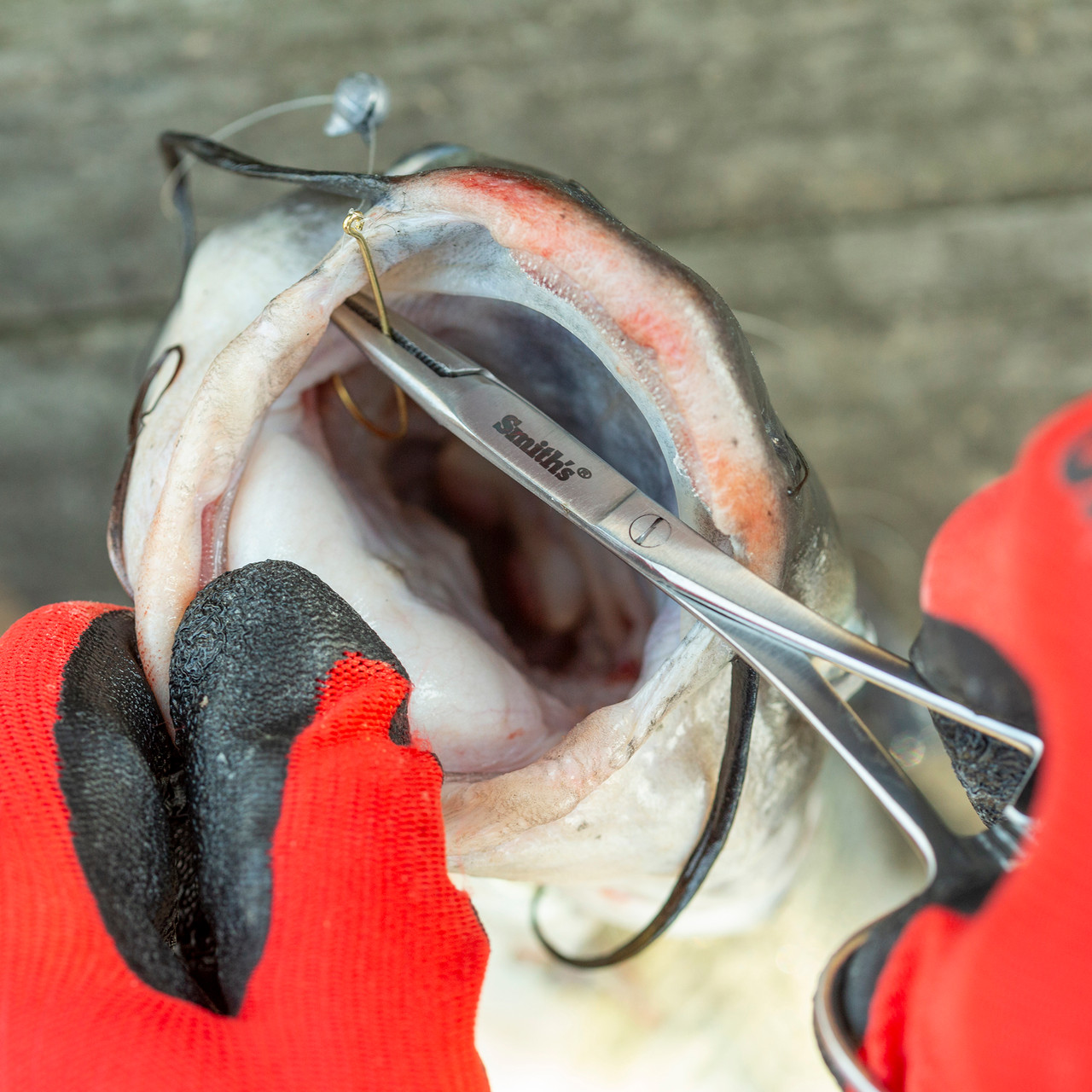 Forceps & Release Tools – Fly Fish Food