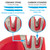 Edgegrip 2-stage Knife Sharpener - Red