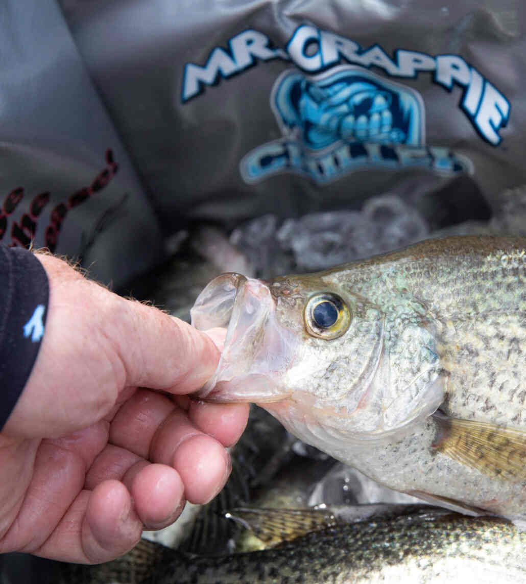 Mr. Crappie Fishing Equipment and Supplies for sale