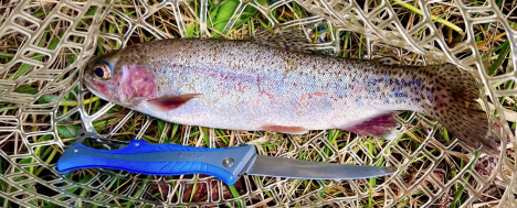 Clean Fish in a Flash with Smith’s RegalRiver 4-Inch  Folding Flex Fillet Knife