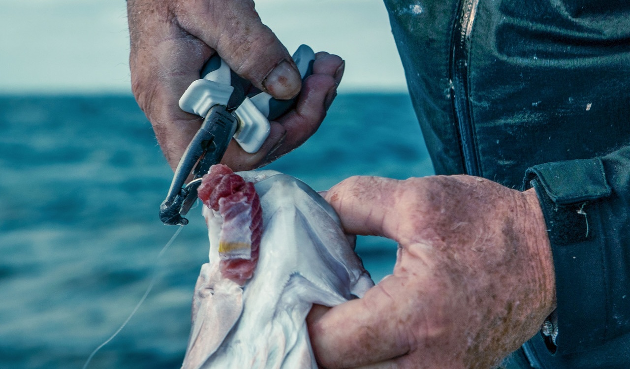 Buyer’s Guide: Choosing the Best Fishing Pliers for Your Needs