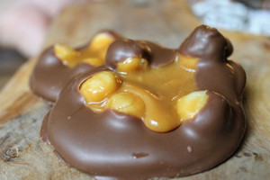 Handmade Macadamia Turtle Handmade Macadamia Turtle
