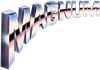 MAGNUM SHIELDING