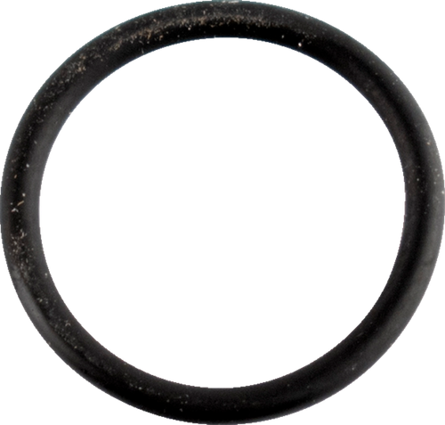 Wsm Cam Cover O-Ring - Sea Doo/Can-Am 008-600-01