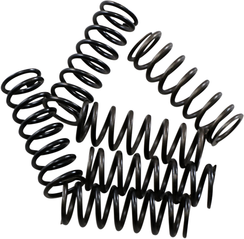 Hinson Racing Hi-Temp Clutch Spring Kit - Honda CS189-6-0613