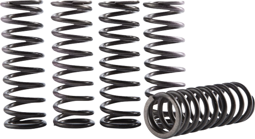 Hinson Racing Hi-Temp Clutch Spring Kit - Wr250F/Yz250F/Fx CS641-6-1901