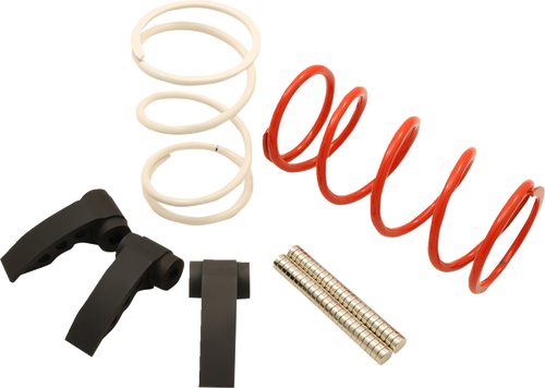 Dynojet Clutch Kit - Rzr Pro R 19-DCK18