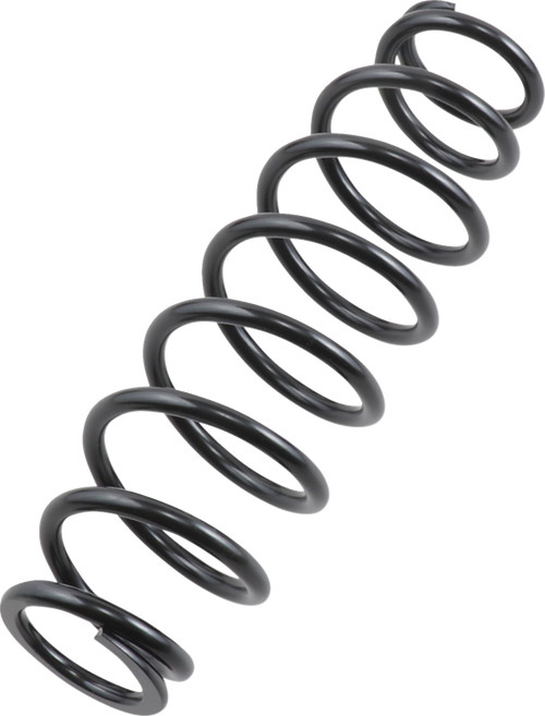 Epi Front/Rear Spring - Heavy Duty - Black - Spring Rate 120 Lb/In WE325117