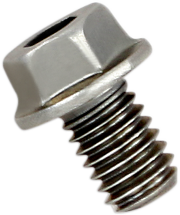 Akrapovic Replacement Exhaust Bolt P-FB40