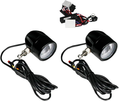 Custom Dynamics Fog Light - Black - Clear Lens PB-FOG-HD-B