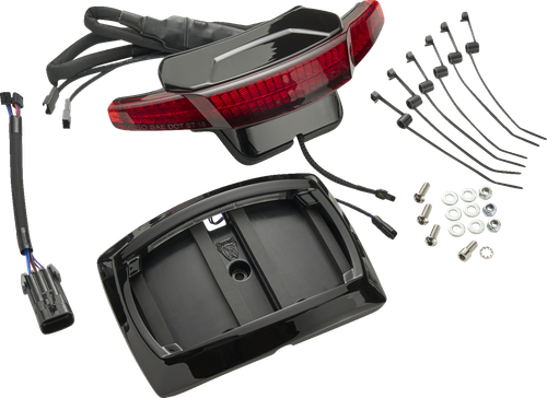 Ciro Latitude Taillight License Plate Mount - Red Lens - Black - Indian 46474