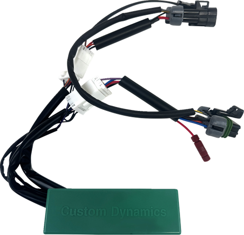 Custom Dynamics Smart Triple Play Module - Rzr GEN-SMART-TPU-RZR3