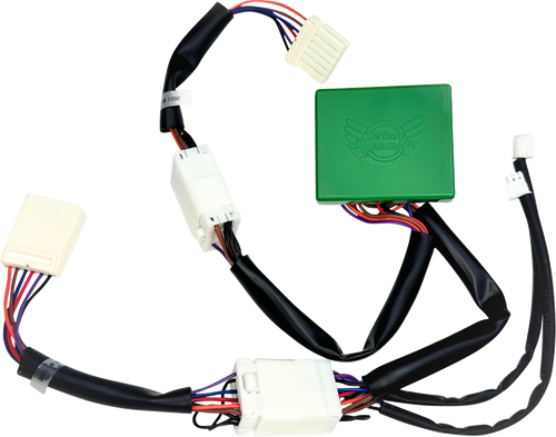 Custom Dynamics Smart Triple Play Module - '04-'16 Sportster CD-STP-XL