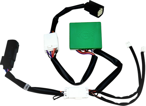 Custom Dynamics Smart Triple Play Module - '10-'13 Fltrx/Flhx CD-STP-TRI