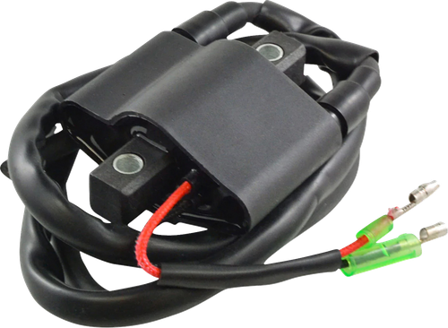 Rm Stator Ignition Coil - External - Arctic Cat RM06061