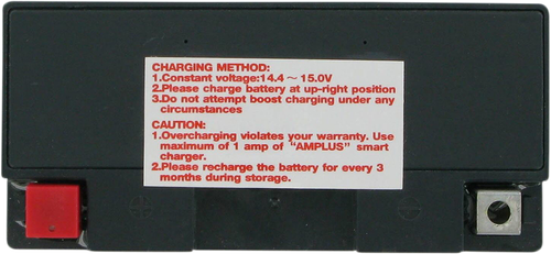 Parts Unlimited Agm Battery - Yt9B-4/Yt9B-Bs 2113-0088