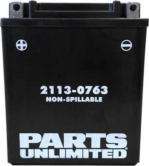 Parts Unlimited Agm Battery - Ctx12Aabs 2113-0763