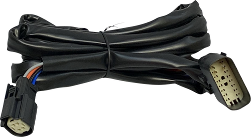 Custom Dynamics Harness - Rear Speakers - Tour-Pak CD-HARN-TP-2