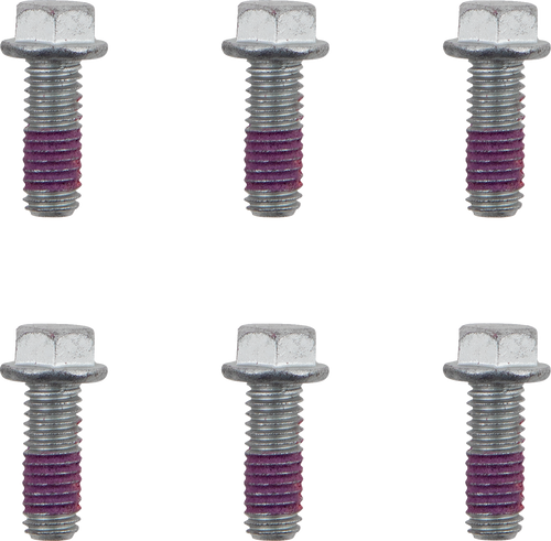 Moto-Master Bolts - Brake Rotor - Torx - M6 X 16 - 6-Pack 012003-PU