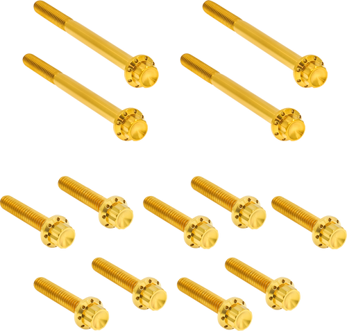 Arlen Ness Bolt Kit - Primary Cover - Titanium - 12-Point - Flt - Gold 300-928