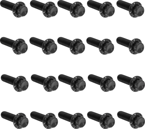 Arlen Ness Bolt Kit - Rocker Box - 12-Point - Titanium - Black 300-945